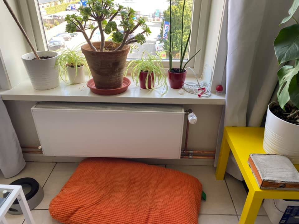 Radiatoren geplaatst — VT Verwarming Sanitair Drongen